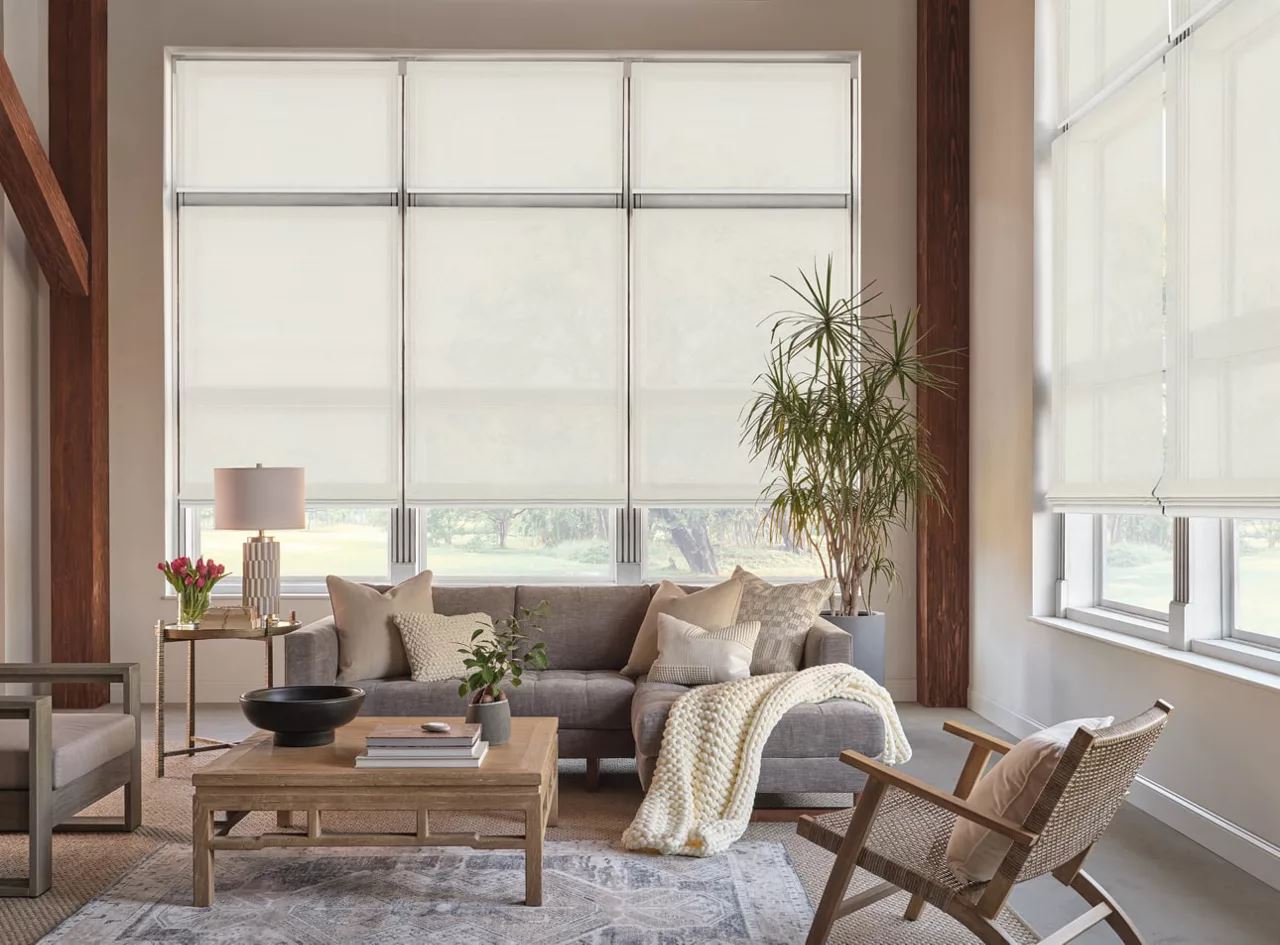 Hunter Douglas Provenance Woven Wood Shades